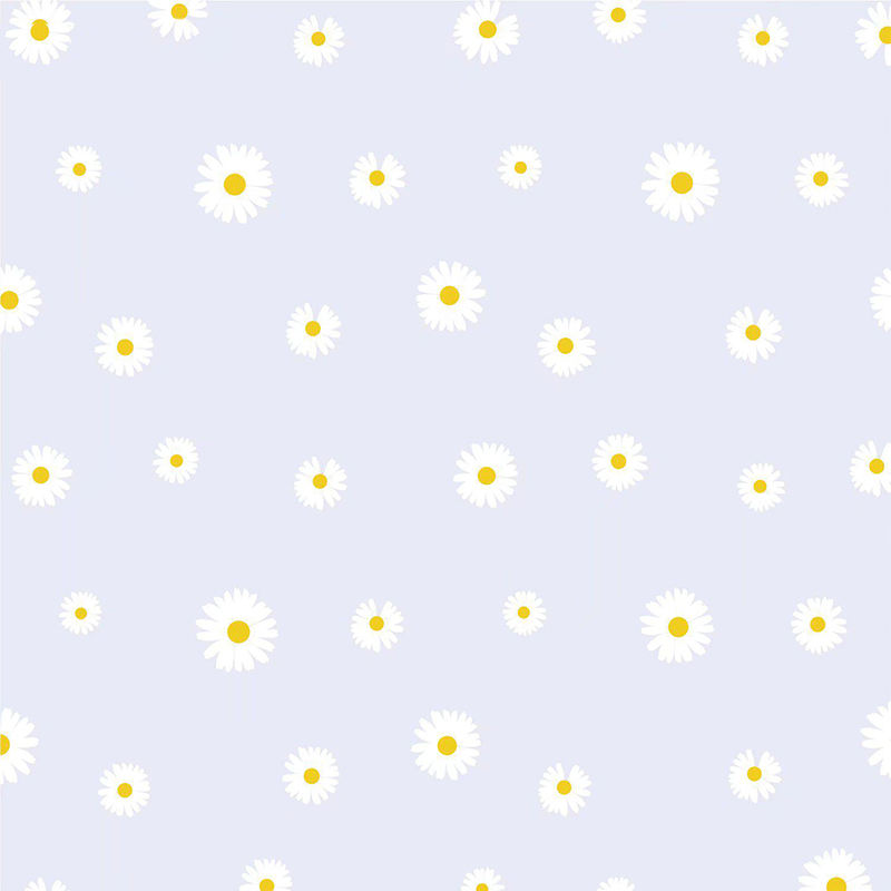 MYHC-18 Fresh Little Daisy Pearl -kukkakäärepaperi