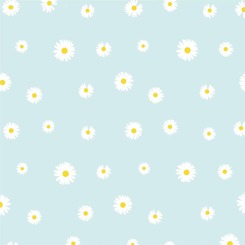 MYHC-18 Fresh Little Daisy Pearl -kukkakäärepaperi