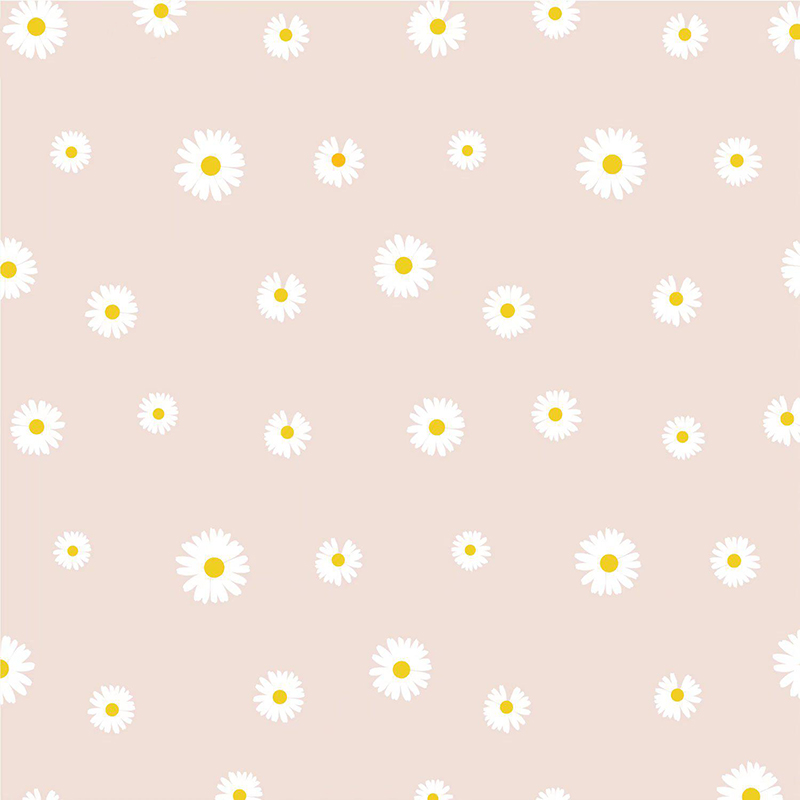 MYHC-18 Fresh Little Daisy Pearl -kukkakäärepaperi