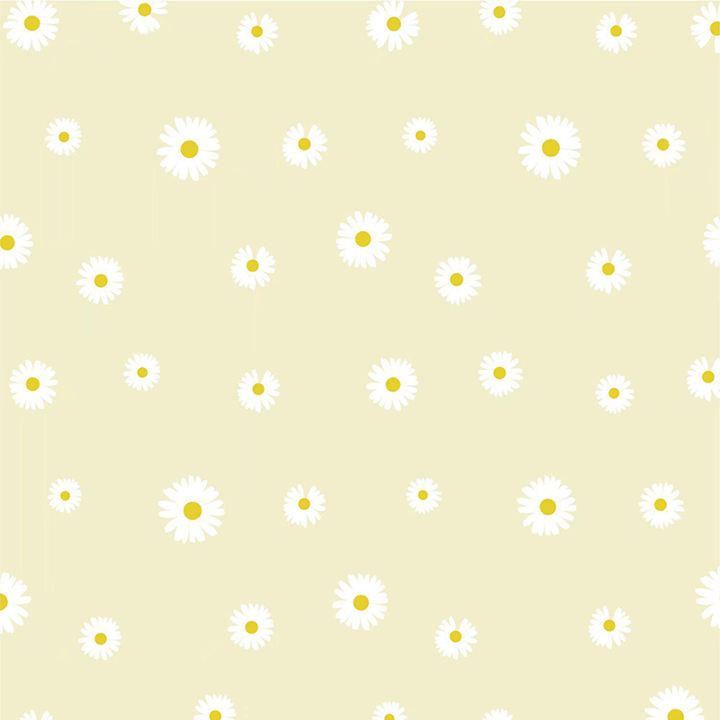MYHC-18 Fresh Little Daisy Pearl -kukkakäärepaperi