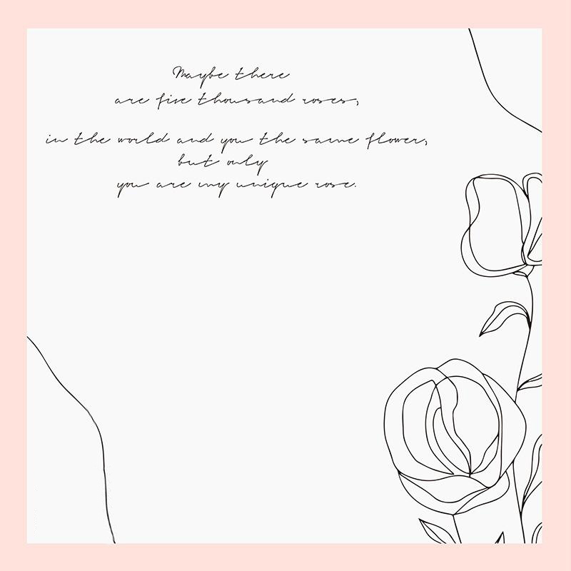 MYHC-42 Simple Style Contrast Border Puuvillakukkakäärepaperi